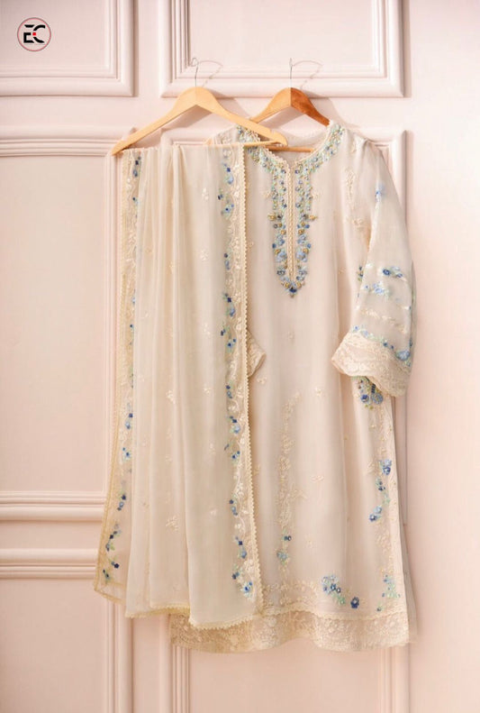 3PC CHIFFON-AGHA NOOR-VM3183